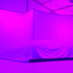 Illustration for article titled Heres Where To Watch Faraday Futures Big Make Or Break Concept Car Reveal